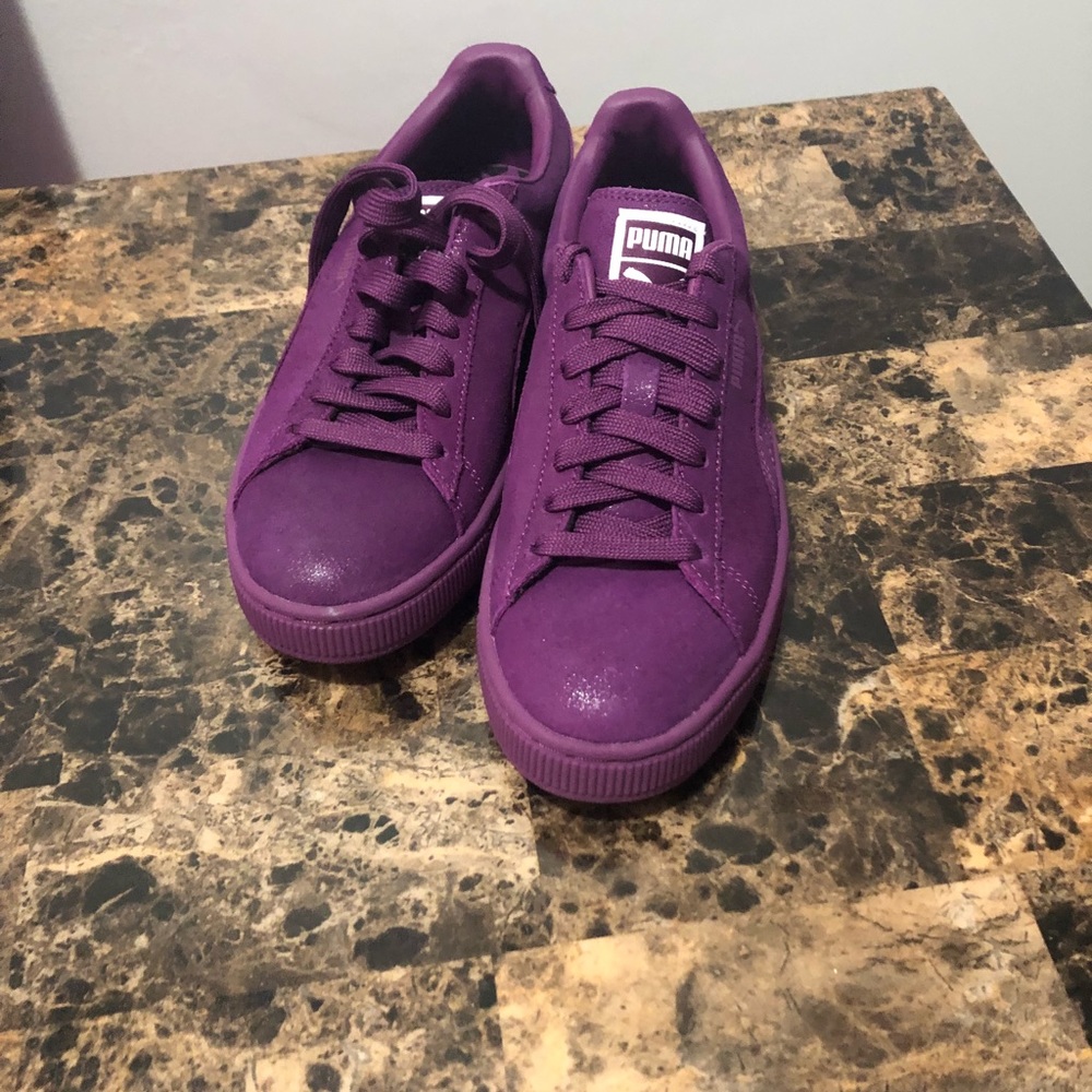 Classic puma
